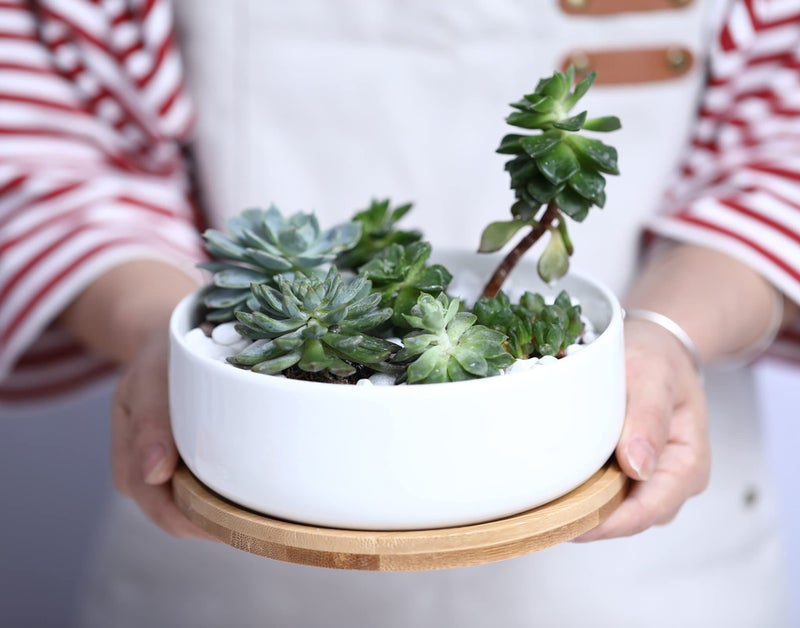 LANKER 6.3 Inch Round White Ceramic Succulent Planter Pot Decorative Cactus Plant Pot Flower Container with Bamboo Tray (Round 6.3Inch) - Image 4